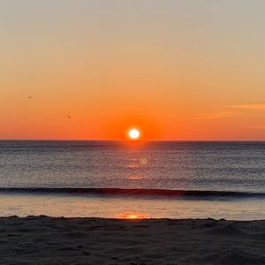 Meet your Posher, Jacey